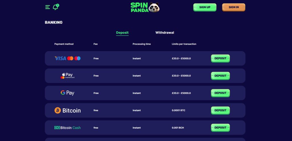 Spin Panda Casino Payment Page